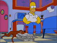 homer simpson GIF