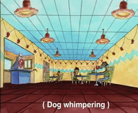nicksplat GIF