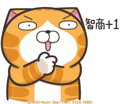 Happy Cat GIF by MochiDad