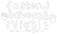 Foster Sticker by Andreea Illustration