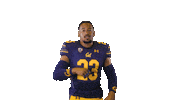 Ncaa Football Go Bears Sticker by Cal Athletics