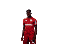 Bayer 04 Yes Sticker by Bayer 04 Leverkusen