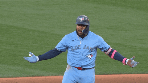Lets Go Canada GIF by Toronto Blue Jays