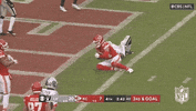 National Football League GIF by NFL
