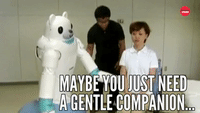 Maybe You Need A Gentle Companion