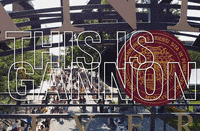 Golden Knights Festival GIF by Gannon University