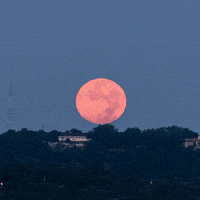 Full Moon Texas GIF