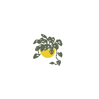 Plant Sticker by Shine With Natasha