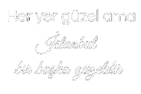 Istanbul Sticker