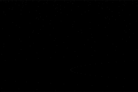 kim jong un GIF