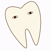 Tooth Sika GIF by dental_sozai