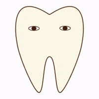 Tooth Bandage GIF by dental_sozai