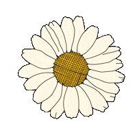 bydaisydalia flower daisy floral deco Sticker