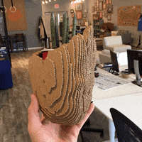 ThePackagingSchool packaging groot guardians greenville GIF