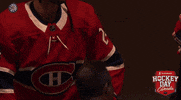 Ice Hockey Sport GIF by NHL