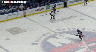 nhl GIF by SB Nation