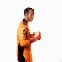 Portland Timbers Sport GIF by Timbers