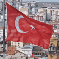 Turkey Turkish GIF by TRT