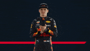 sarcastic formula 1 GIF by Red Bull Racing