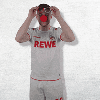 1 Fc Cologne Football GIF by 1. FC Köln
