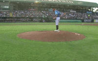 all star baseball GIF by Lansing Lugnuts