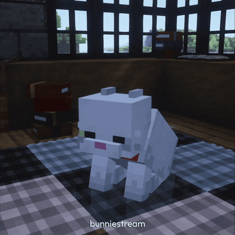 Cat Books GIF