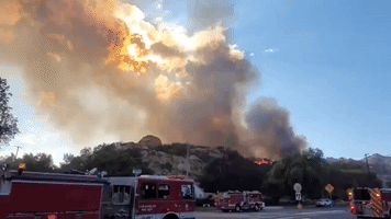 Firefighters Respond to Newly-Sparked Brush Fire in Los Angeles