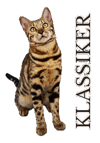 Cat Bengalcat Sticker by Kitty Fuchs