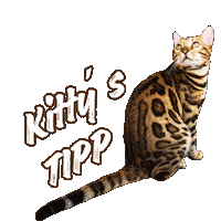 Bengal Cat Sticker by Kitty Fuchs