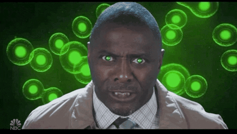 GIF by Saturday Night Live