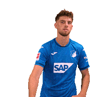 Not In My House Sport Sticker by TSG Hoffenheim