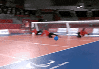Paralympic Games Sport GIF by International Paralympic Committee