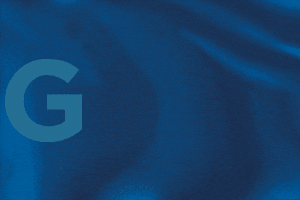 ice hockey GIF by Hockey Club Davos