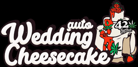 FastBuds giphygifmaker fastbuds fast buds weddingcheesecake auto GIF