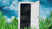 GIF by Bro Safari