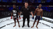 GIF by Bellator