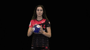 dhcplzen  GIF