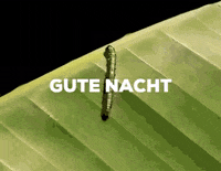 ChaosundKosmosde love glitch good night nacht GIF
