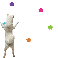 Happy Dance Sticker