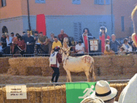 EduValencia giphygifmaker GIF