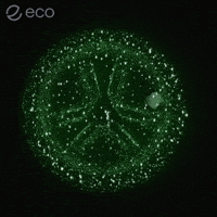 To The Moon Crypto GIF by Eco