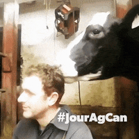 Jouragcan GIF by Ag More Than Ever