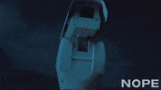 Keke Palmer Steven Yuen GIF by NOPE