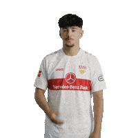Lets Go Football Sticker by VfB Stuttgart