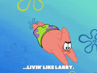 season 6 GIF by SpongeBob SquarePants