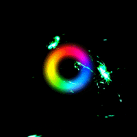 sigmasmm sigmamedia GIF