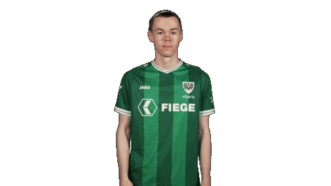 Preußen Münster Football Sticker by Bundesliga