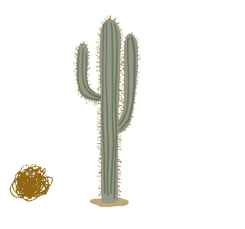 Cactus Desert Sticker by Fifth & Ninth