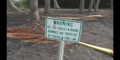 Big Island Water GIF by DIIMSA Stock