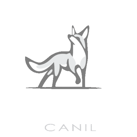 canilyalume cachorro border laika yak Sticker